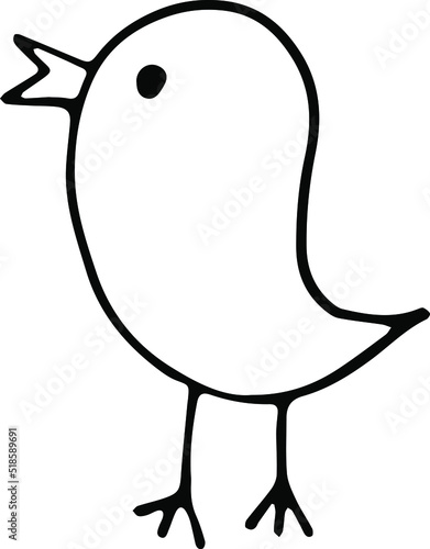 Bird, hand-drawn. Hand-drawn doodles illustration.
Line art.