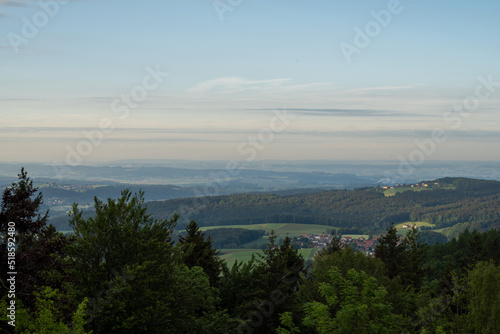 Forest areas in Germany photographed in the spring month of May © helfei