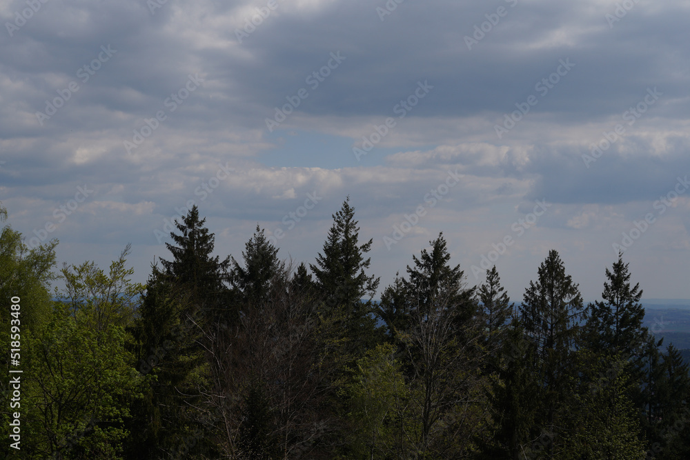 Forest areas in Germany photographed in the spring month of May