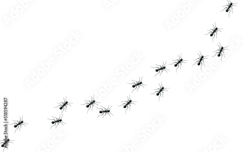Marching ants in search of food. Ant trail colony. Vector Illustration 10 eps
