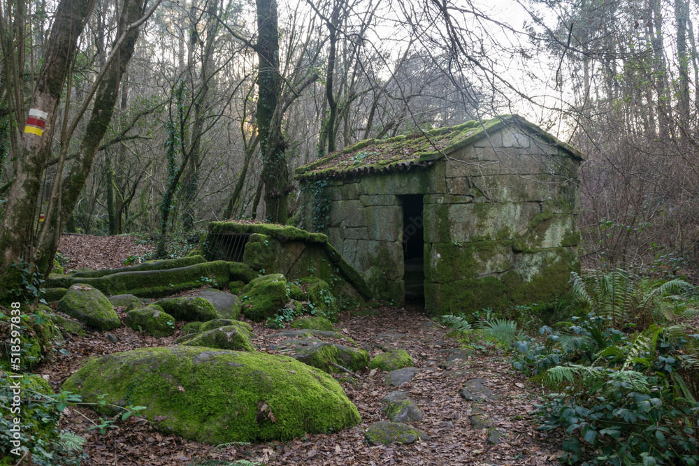 Old water mill covered with moss in a forest with dense vegetation. Ethnographic group of Maquias in Zamanes. Vigo - Spain Old water mill covered with moss in a forest with dense vegetation. Ethnographic group of Maquias in Zamanes. Vigo - Spain