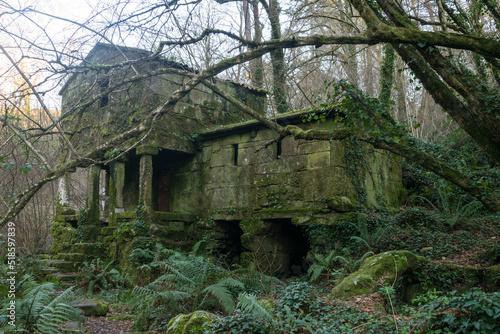 Old water mill house covered with moss in a forest with dense vegetation. Ethnographic group of Maquias in Zamanes. Vigo - Spain © Chris DoAl