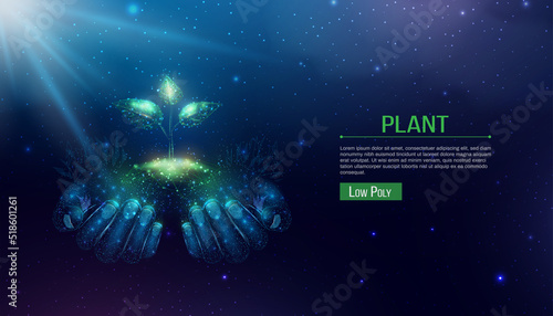 Two human hands are holds green sprout. Glowing low poly hands and plant on dark blue background. Wireframe low poly design. Abstract futuristic vector illustration.