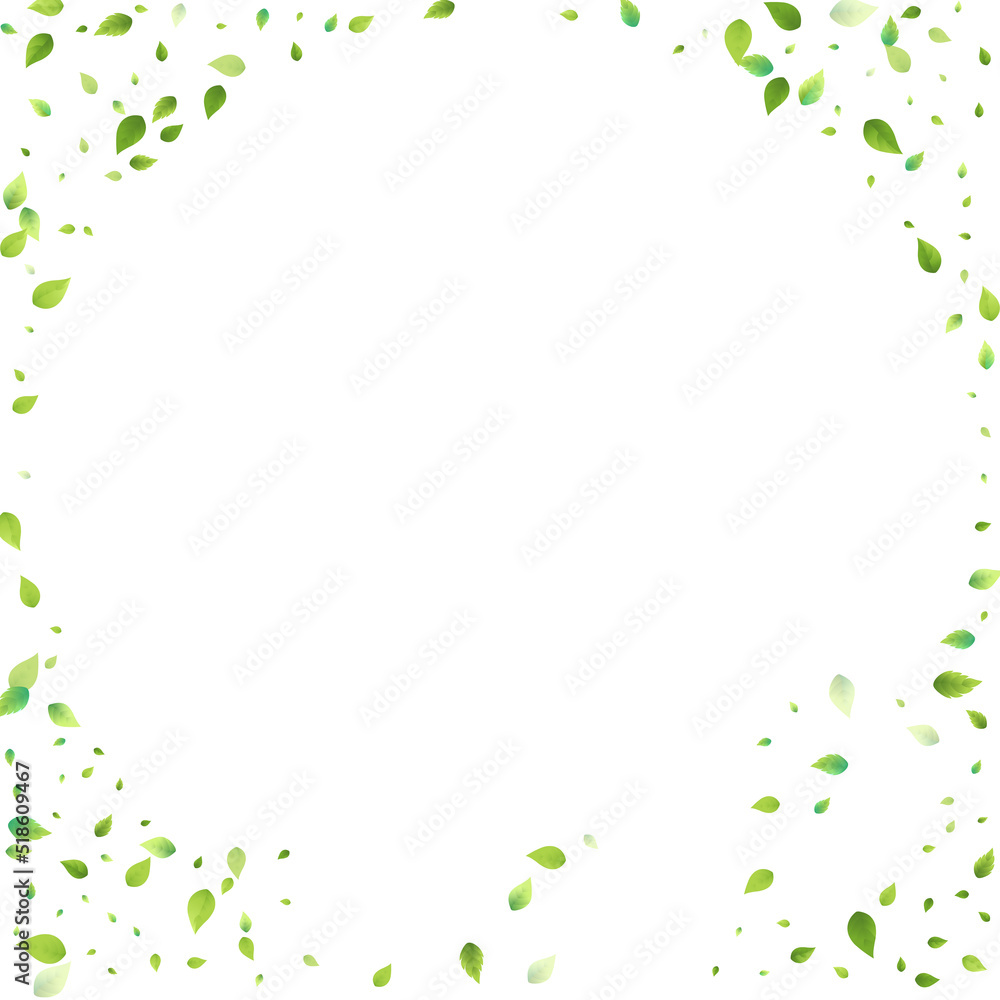 Leaves Green Falling Flying Foliage Leaf Tea Mint Leaves Green Falling Flying Foliage Leaf Tea Mint