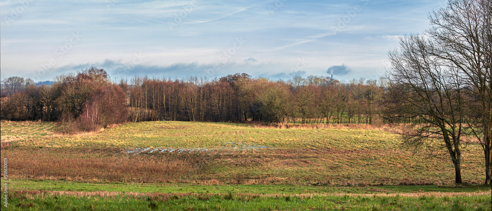 Farmland with grassy meadows and forest trees with a cloudy blue sky copy space. Landscape with green grass and brown leaf trees during Autumn. Relaxing view of remote grassland in the countryside Farmland with grassy meadows and forest trees with a cloudy blue sky copy space. Landscape with green grass and brown leaf trees during Autumn. Relaxing view of remote grassland in the countryside