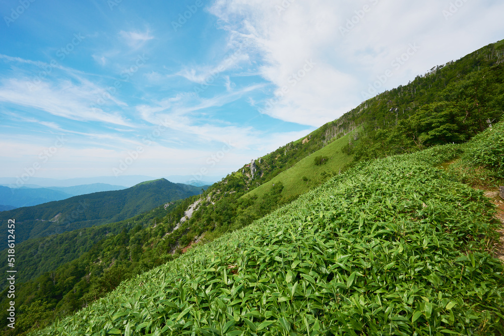 Obraz premium 徳島県 剣山