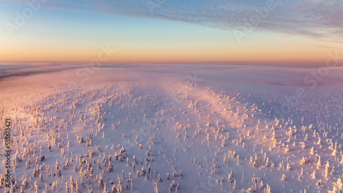 Snow covered forest on top of Riisitunturi, Lapland photo