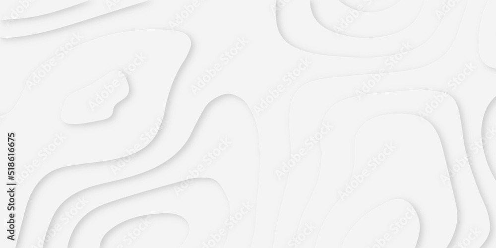 Obraz premium 3d white papercut background. Abstract cut out brochure. Luxury paper cut background, Abstract decoration, white pattern, White topographic canyon map light relief texture, curved layers and shadow. 