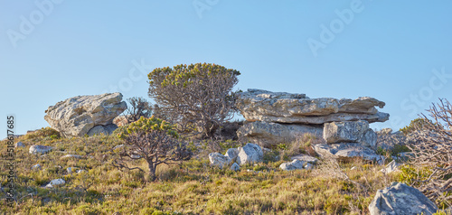 Natural landscape view of boulders and wilderness in nature. Rocky, grassy terrain on a peak of a mountain surrounded by a clear big blue sky on a sunny day. Trees, rocks and grass in the outdoors.