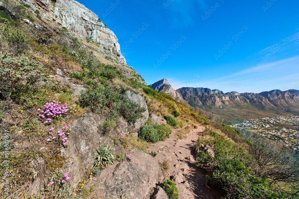 Beautiful scenic view of mountains and a hiking or walking trail surrounded by fig flower plants and trees on a sunny Spring day. Landscape covered in rocks natural flora and fauna with a blue sky.