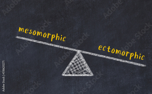 Balance between mesomorphic and ectomorphic. Chalkboard drawing. photo