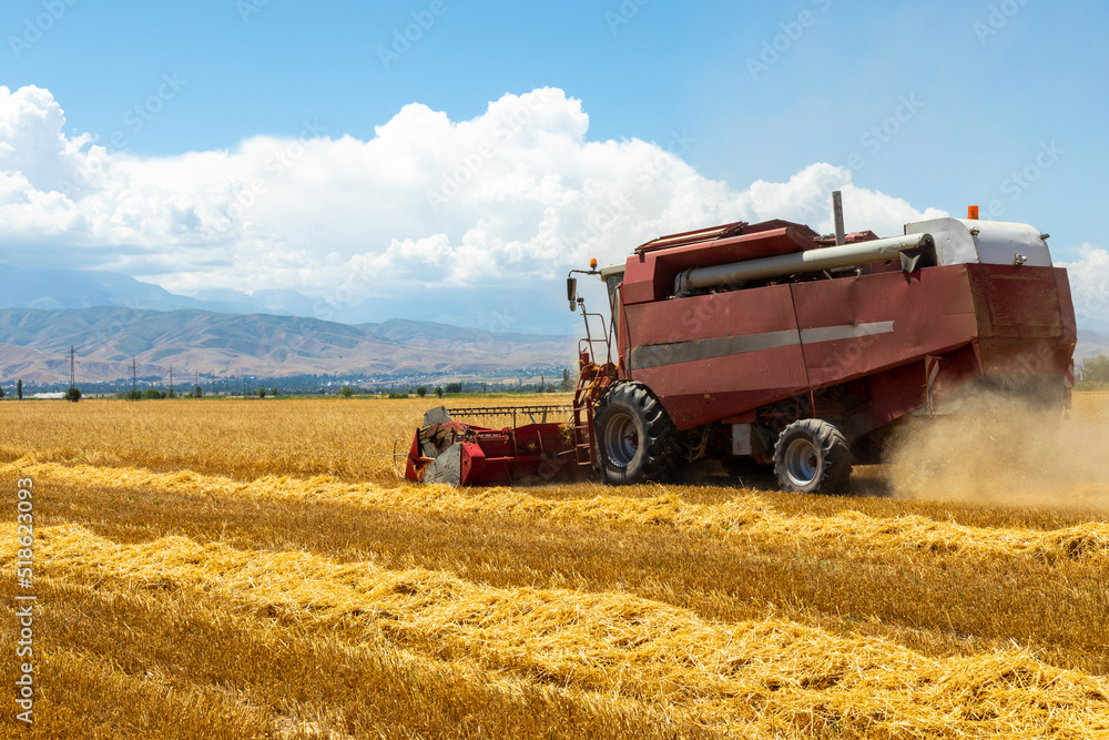 Obraz premium Combine Harvester Harvesting Wheat In Agricultural Field