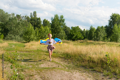 little girl in national Ukrainian clothes - vyshyvanka. Ukraine, field. In the hands of the flag of Ukraine. 