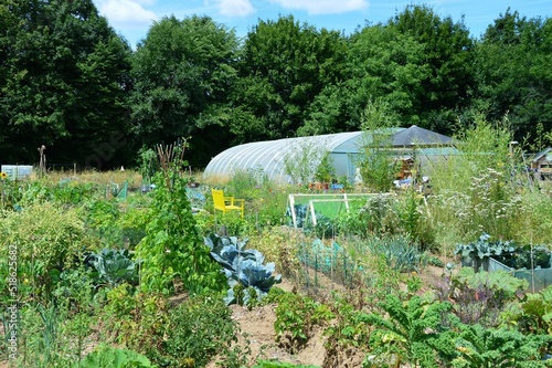 ein ökologisch angelegter Garten