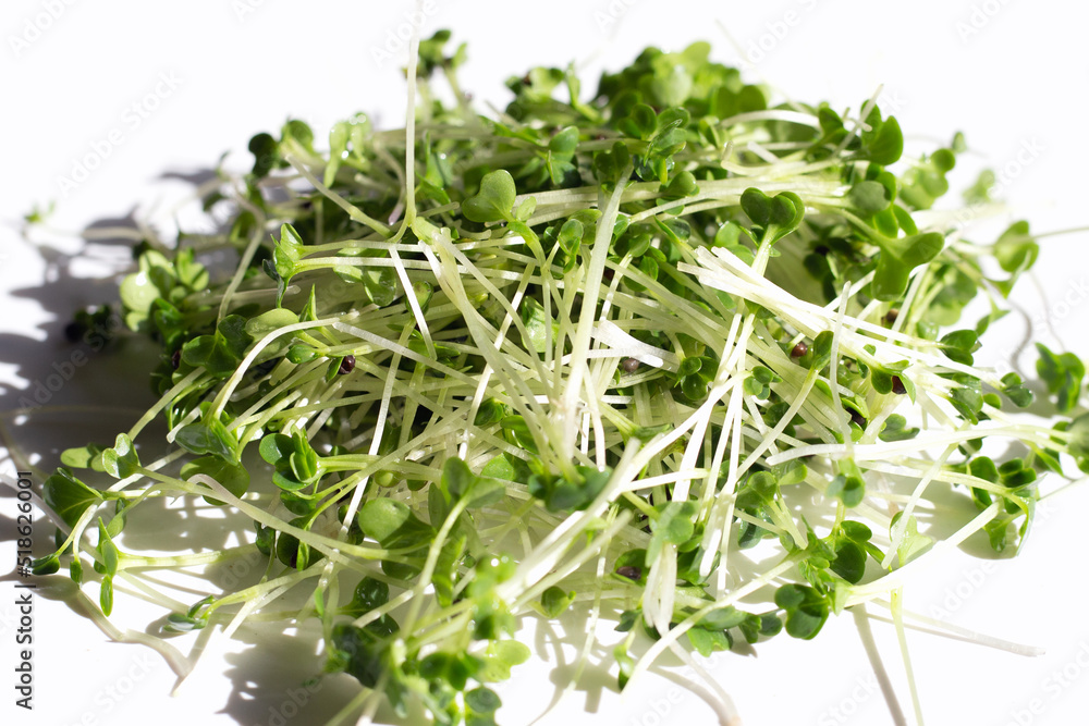 Organic kale sprouts on white background. Organic kale sprouts on white background.