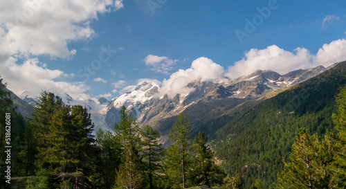 スイスの風景 アルプス山脈と森