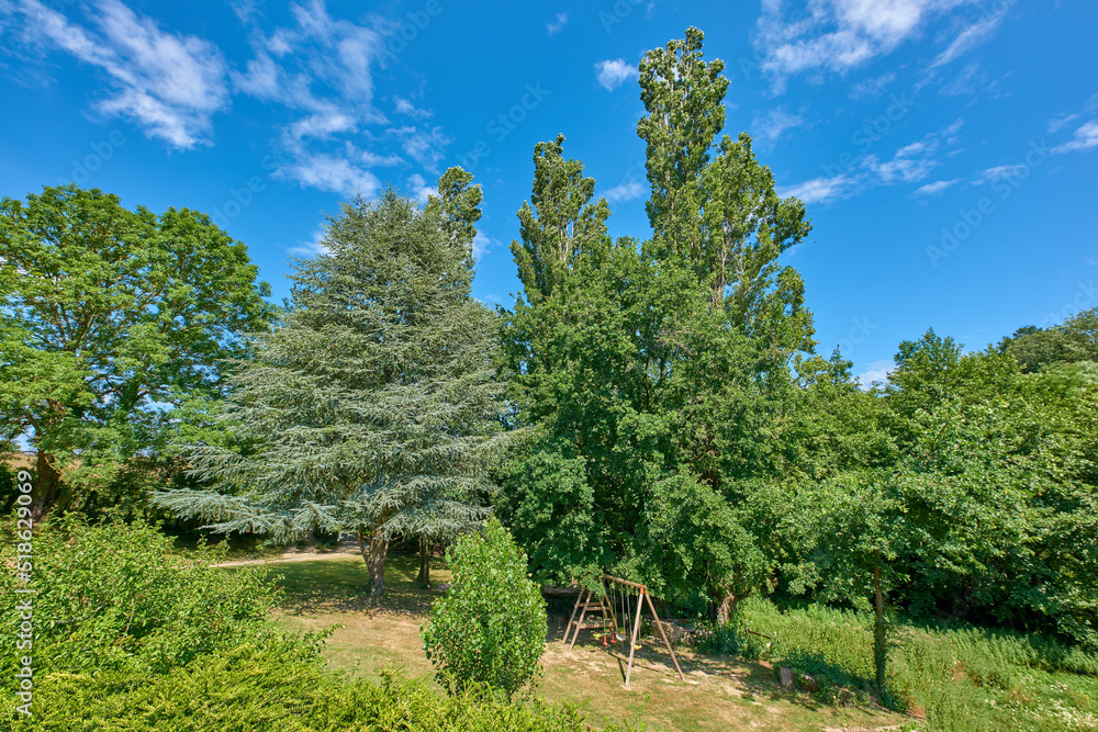 Beautiful green playground with lots of trees in summer on blue sky background. Dense and vibrant park for outdoor activities or fresh air. Different tree plants creating shade near a play ground