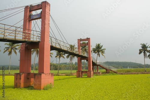 Old suspension bridge over the river filled with salvinia auriculata photo