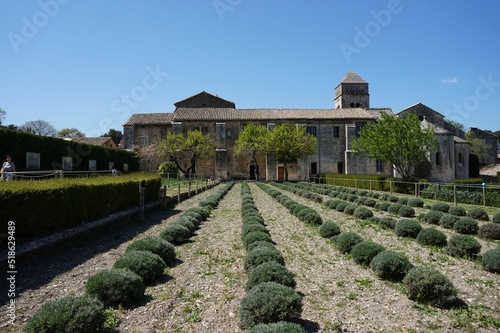 Garden view of the Monastery Saint-Paul de Mausole photo