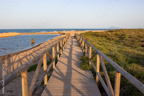 Camino de madera 