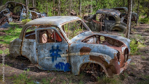 Car graveyard is situated in a forest photo