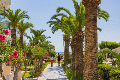 Fototapeta Naklejka Na Ścianę i Meble -  Beautiful view of path to beach through palm trees and green plants on blue see and pale blue sky background. 