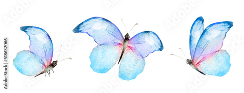 Fototapeta Color watercolor butterfly , isolated on the white background. Set