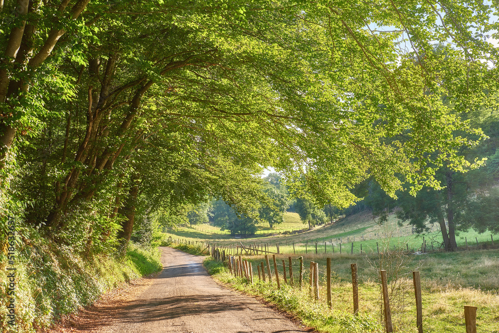 A countryside dirt road leading to agriculture fields or farm pasture in remote area location with serene and vibrant trees. Landscape view of quiet, lush, green scenery of farming meadows in France A countryside dirt road leading to agriculture fields or farm pasture in remote area location with serene and vibrant trees. Landscape view of quiet, lush, green scenery of farming meadows in France