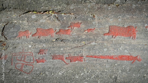 Closeup shot of a rock carving of a animals and a sword in Himmelstalund, Norrkoping, Sweden photo