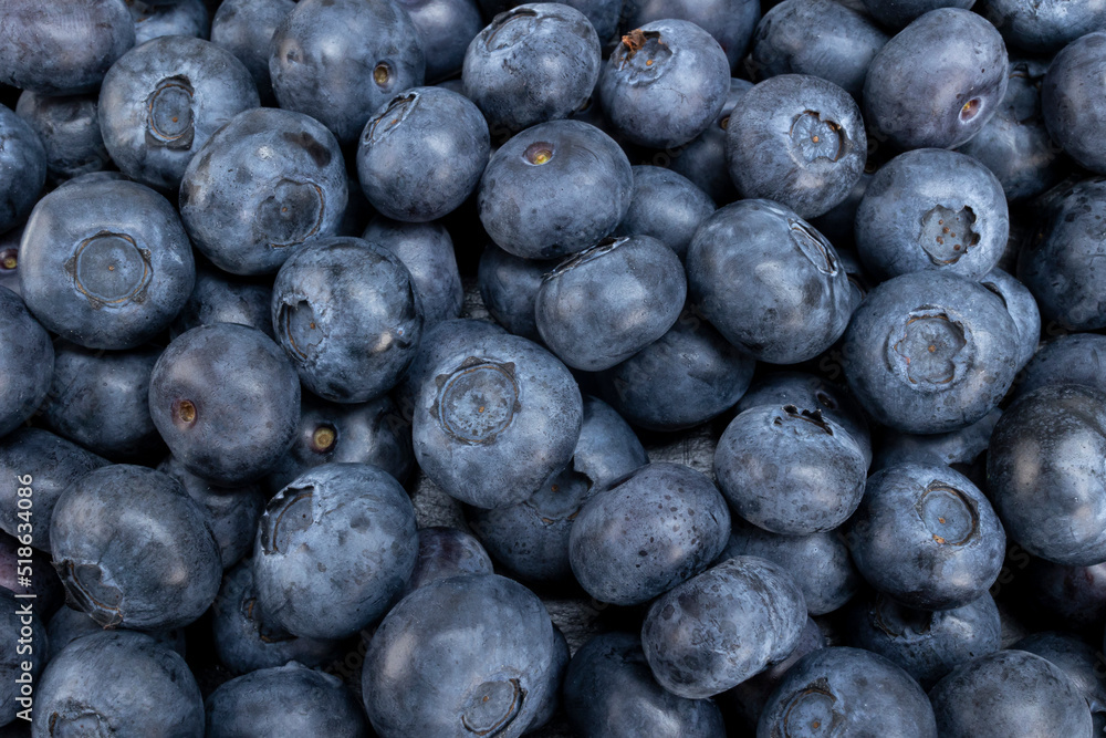 Fresh blueberry summer fruits for a healthy food and life concept Fresh blueberry summer fruits for a healthy food and life concept