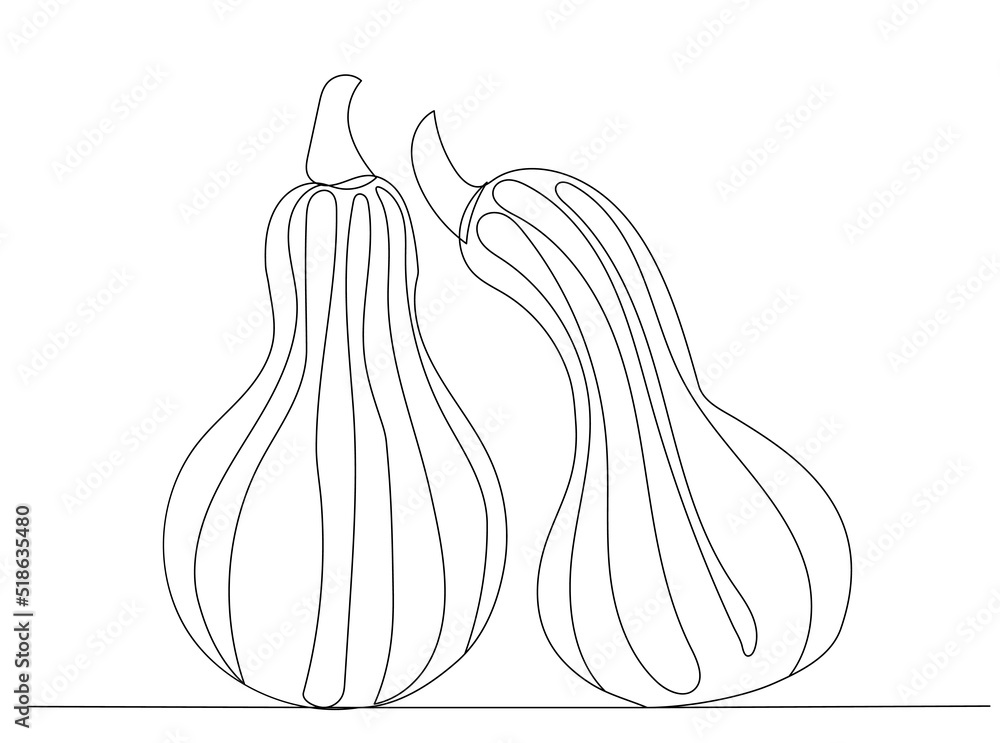 pumpkin drawing in one continuous line, isolated