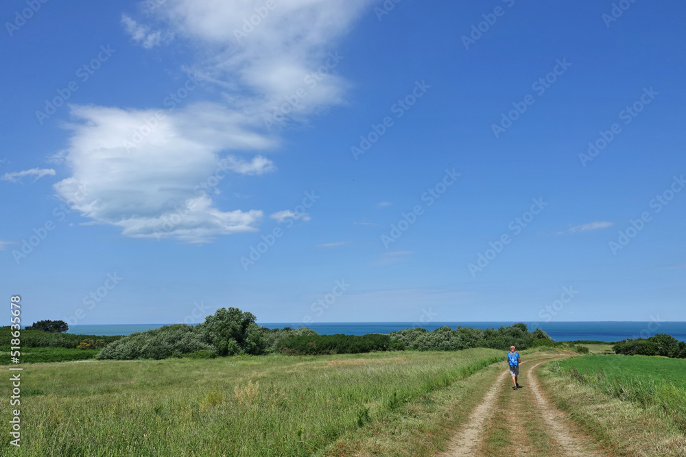 Fototapeta premium Randonnée sur le GR 34 de Cancale à la Pointe du Grouin