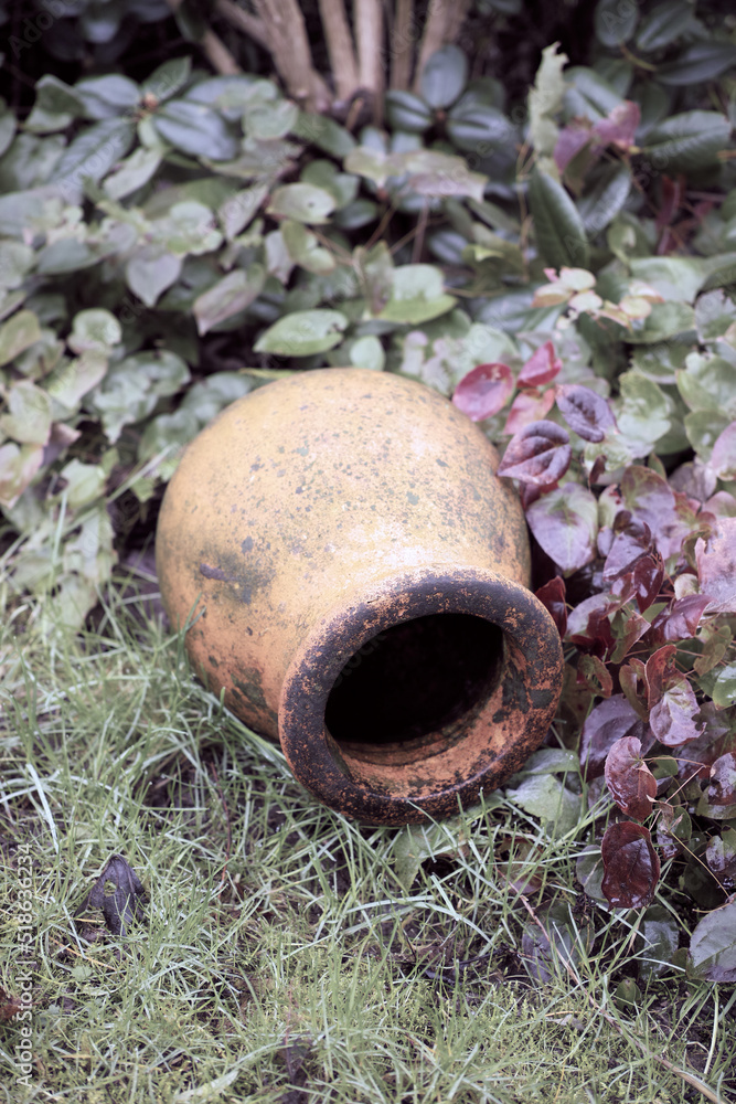 Dirty flowerpot ready to be refurbished. Decorative ceramic pot lying on uncut green grass and leafy plants in a home garden outdoors. Rustic outdoor decoration neglected and weathered in a yard. Dirty flowerpot ready to be refurbished. Decorative ceramic pot lying on uncut green grass and leafy plants in a home garden outdoors. Rustic outdoor decoration neglected and weathered in a yard.