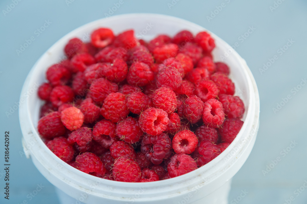 Fresh ripe raspberries in a white bowl on the table. Fresh ripe raspberries in a white bowl on the table.