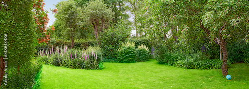 A beautiful nature view of green grass, plants, trees, and flowers. Private outdoor park lawn during spring with a natural background. An outside landscape setting on a peaceful gardening day.
