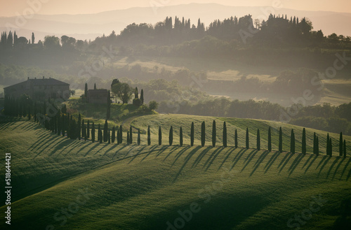 shadows of cypress trees in the Tuscany