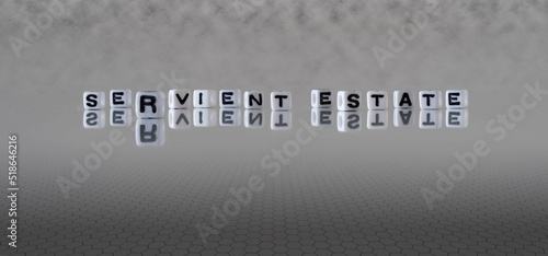 servient estate word or concept represented by black and white letter cubes on a grey horizon background stretching to infinity