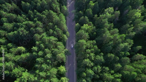 Aerial view of a car driving through the forest. Highway between trees. Coniferous forest. Lonely car.