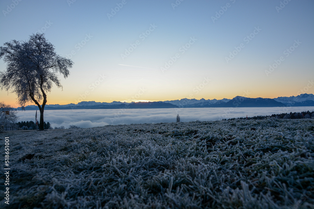 Obraz premium Winter wonderland with sea of fog over Swiss midlands with panorama of the Alps