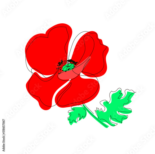 Illustration of a poppy with two leaves. Bright red flowering poppy with seeds in doodle style. Summer flower. Vector illustration, isolated on white background
