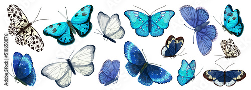 Large collection of colorful blue and white butterflies. Cartoon vector graphics.