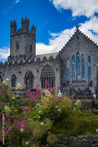 Saint Mary's Cathedral in Limerick city centre. Republic of Ireland