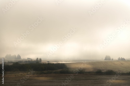 Field covered in thick fog at Basket Slough NWR Overlook, Dallas, OR photo