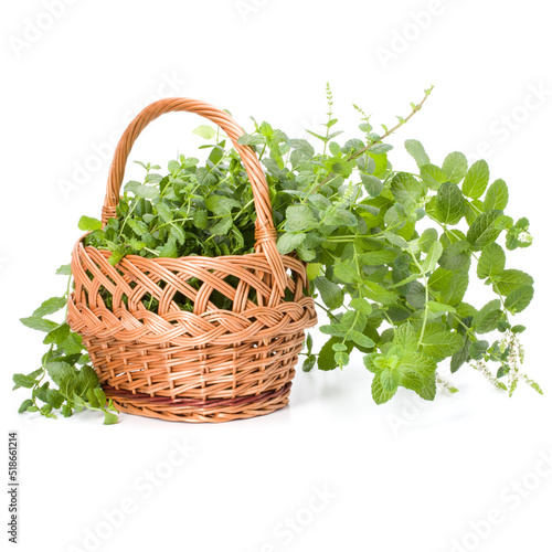 Wicker basket with fresh mint isolated over white background.
