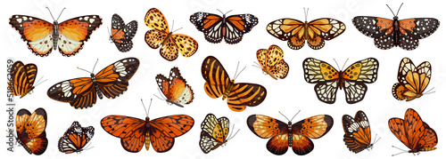 Large collection of colorful monarch butterflies, swallowtail. Cartoon vector graphics.