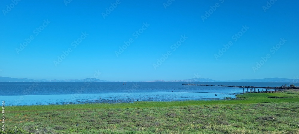 landscape with lake and grass