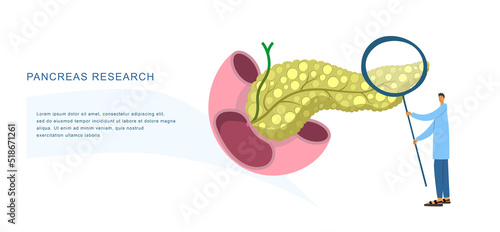 Tiny physician examines human pancreas with magnifier to diagnose its diseases. Medical observation flat vector banner for diagnostic center, laboratory, clinic, research institution, conference etc. 