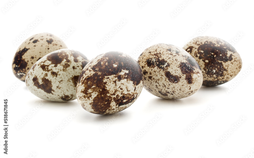 Quail egg isolated on white background cutout Quail egg isolated on white background cutout