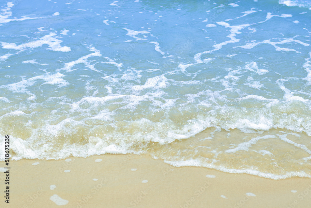 Sandy beach and sea in summer