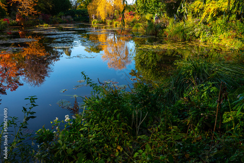 calme & tranquilité dans les jardins de Monnet photo